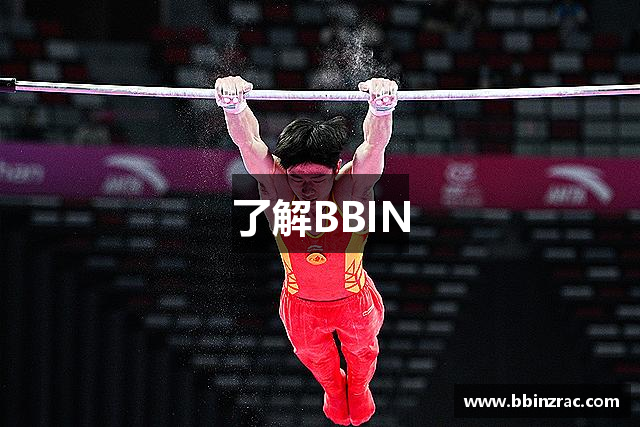 了解BBIN